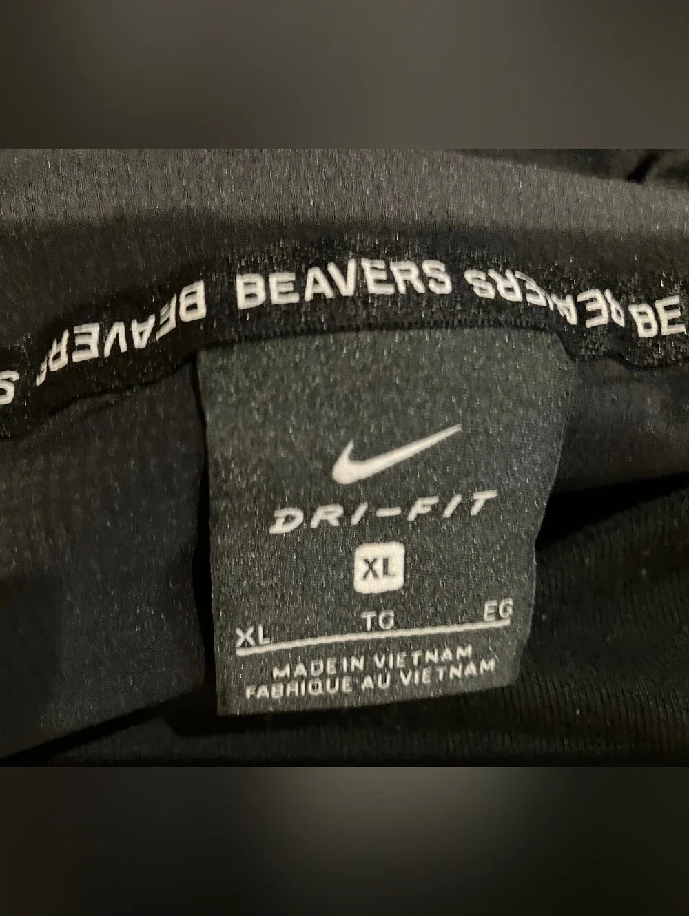 Nike Beaver's Hoodie